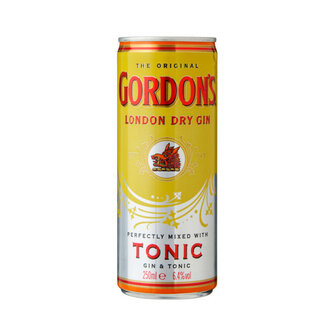 Gordon&#039;s Gin Tonic 250ml