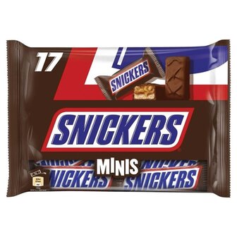 Snickers Mini&#039;s 17 Stuks